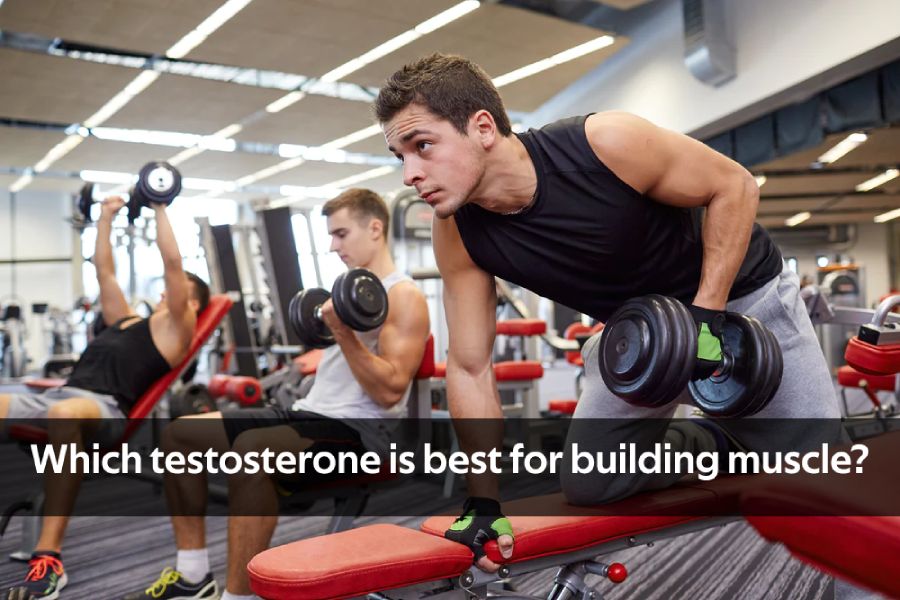 10ml vial of testosterone